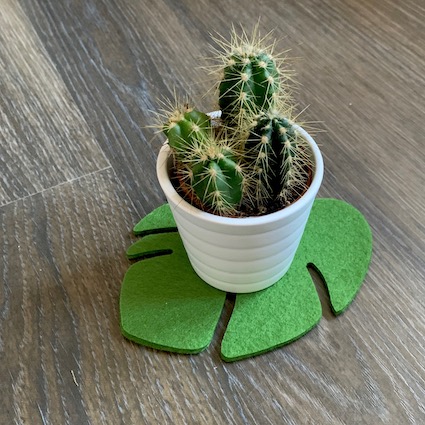zelfs je cactus wordt blij van deze groene onderzetters vilt handgemaakt wasbaar